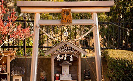 ご祭神はトラ猫のオトラサマ！遠野八幡宮にある「猫神社」　岩手県遠野市