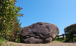 微笑んでいるような表情が可愛い！亀そっくりの不思議な石　奈良県明日香村