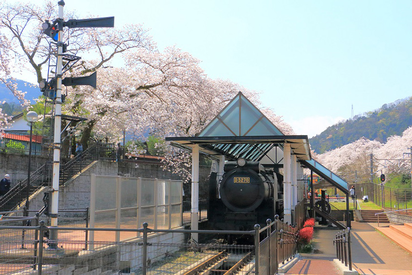 満開のサクラ並木は見逃せない！列車が通るピンクのトンネル 神奈川県山北町 | クルマ情報サイトｰGAZOO.com