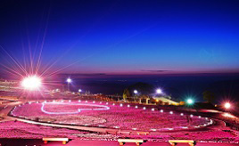 ライトアップされたシバザクラも必見！県内最高峰の山頂に広がる「天空の花回廊」　愛知県豊根村