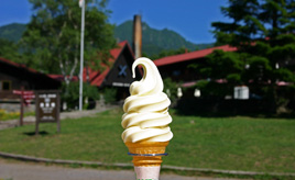 さわやかな風がそよぐ清里高原！大人気ソフトクリームやアンのグッズが並ぶ「清泉寮」　山梨県北杜市