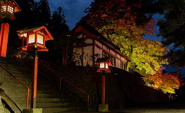 煌々と照らされるカエデや境内！遠野郷八幡宮の紅葉ライトアップ　岩手県遠野市