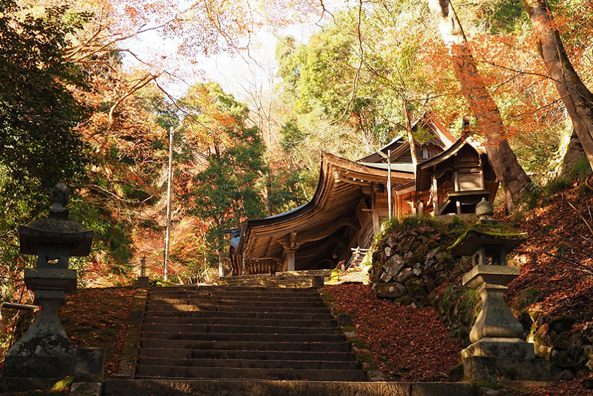 静かな山里に色づく紅葉！諏訪神社や板井原集落、注目の豆乳スイーツ店へ 鳥取県智頭町 | クルマ情報サイトｰGAZOO.com