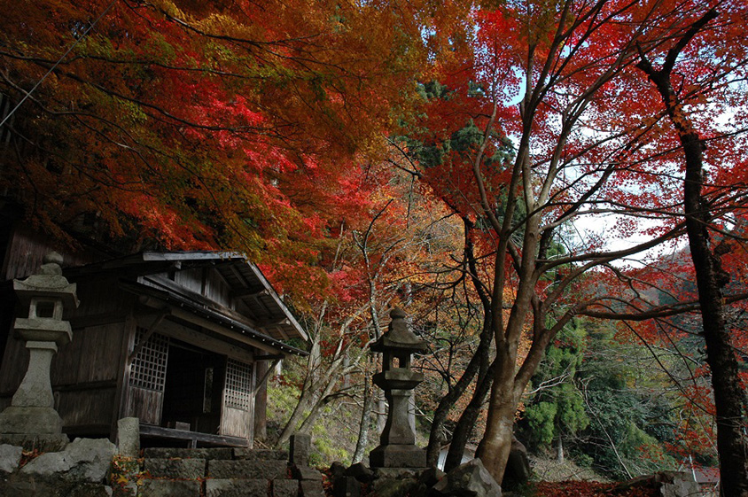 静かな山里に色づく紅葉！諏訪神社や板井原集落、注目の豆乳スイーツ店へ 鳥取県智頭町 | クルマ情報サイトｰGAZOO.com