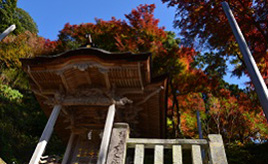 静かな山里に色づく紅葉！諏訪神社や板井原集落、注目の豆乳スイーツ店へ　鳥取県智頭町