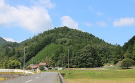 真っ白なコブシの花が見頃！花と眺望を楽しめる城趾やミズバショウの群生地へ　広島県北広島町