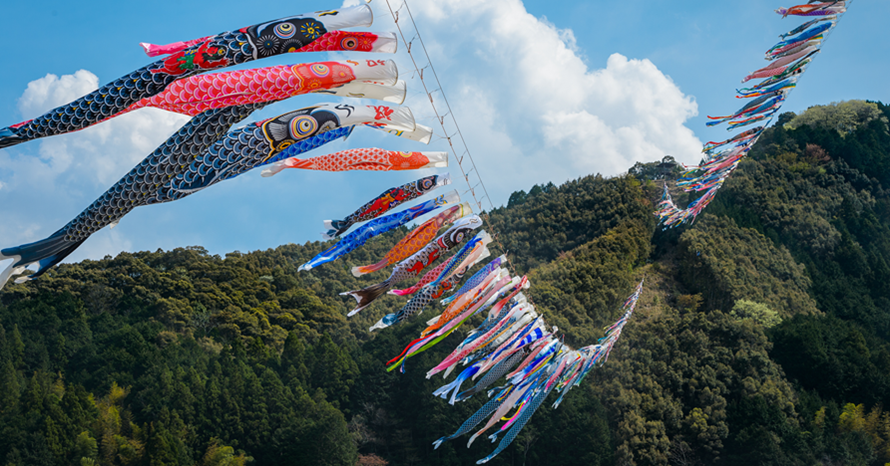 清流・四万十川の川面を500匹が舞う！毎年恒例「こいのぼりの川渡し