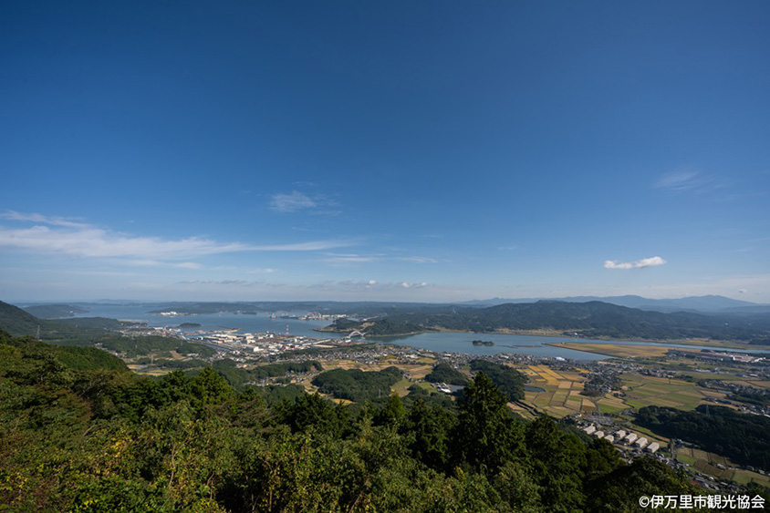 【ツノの有無】参考写真 01.jpg?la=ja-JP&rev=