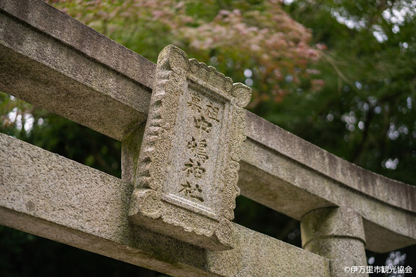 伊万里湾を見下ろす展望台！ツツジが見頃の竹の古場公園 佐賀県伊万里
