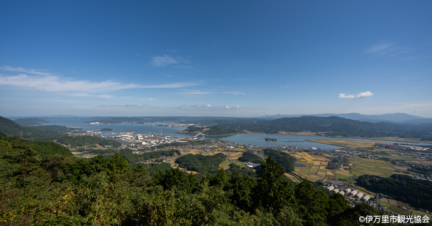 伊万里 伊万里湾を見下ろす展望台！ツツジが見頃の竹の古場公園 佐賀県伊万里