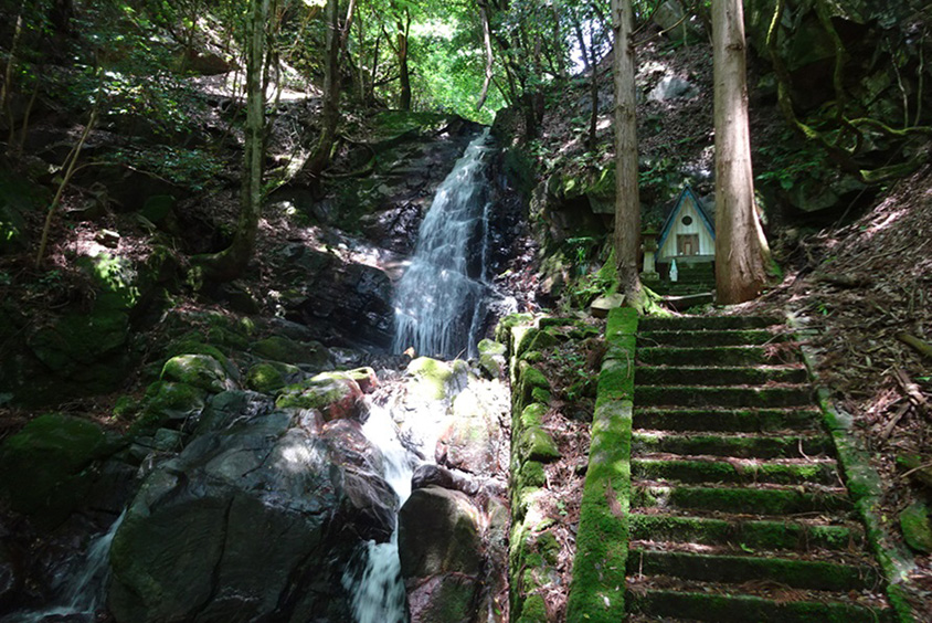 林の中の白亜のオブジェ！スギの精霊を祀る珍しい「杉神社」 鳥取県