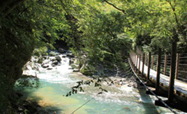 仙人も居ついたという美観！青く輝く川を見下ろす「仙人岩吊り橋」　栃木県那須塩原市