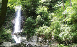 秋川の源流の沢の奥地にある名瀑！山間の滝で涼を感じよう　東京都檜原村