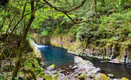 マイナスイオンあふれる別天地！滝や瀬、淵の自然がきらめく菊池渓谷　熊本県菊池市