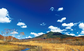 冬直前の秋の装い！湿原が黄や赤に染まる尾瀬ヶ原の草紅葉　群馬県片品村