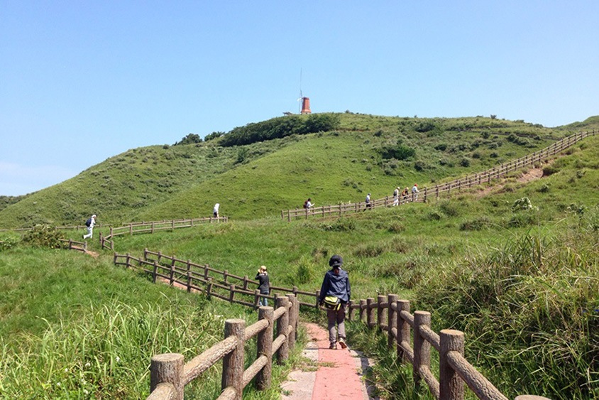 海をバックにコスモスが咲き乱れる風車の丘へ！玄界灘に浮かぶ絶景離島