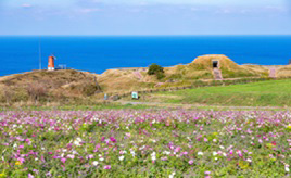 大島 thumb.jpg?la=ja-JP&rev=