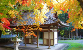 一木造りの仏像に会いに行こう！紅葉も見頃の古保利薬師やまったりできる古民家カフェへ　広島県北広島町