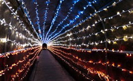 光り輝く冬の洞穴！冬限定のイルミネーション「光の鍾乳洞」　長崎県西海市