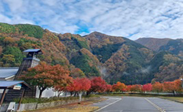 噂の秘境・オクシズへドライブ！温泉や紅茶づくり体験工房、茶屋カフェを訪ねよう　静岡市葵区梅ヶ島