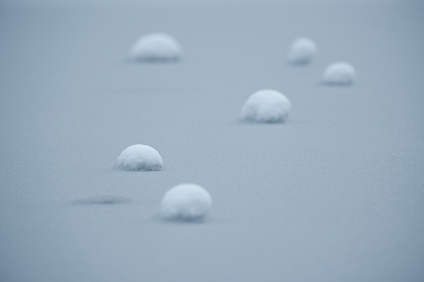 今浦カメラマン撮影の作例「湖上の星たち」