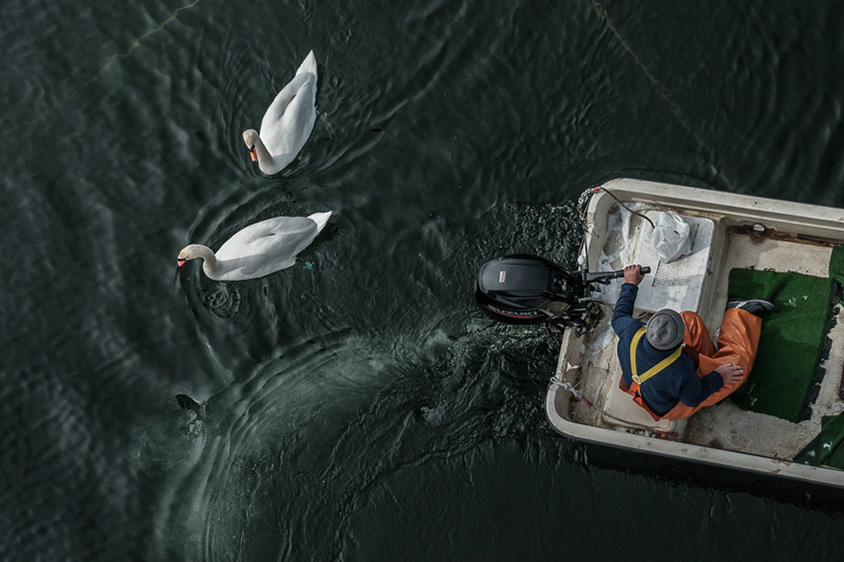 今浦カメラマン撮影の作例「冬の友達」