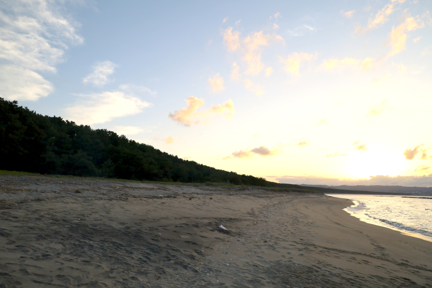 愛車広場 出張取材会 in 佐賀の会場の虹の松原の海岸