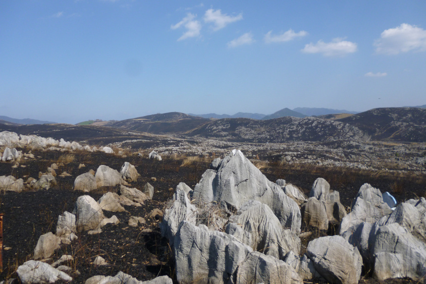 GAZOO愛車広場 出張取材会 in 広島を開催する秋吉台