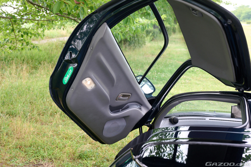 トヨタ・アムラックスセラのバタフライドアの内側