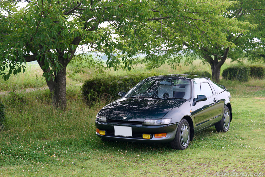 木々の下に佇むトヨタ・アムラックスセラ