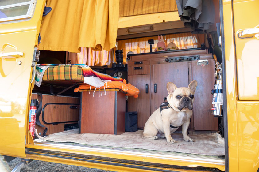 フォルクスワーゲン・タイプ2 ワーゲンバスのコンロと愛犬