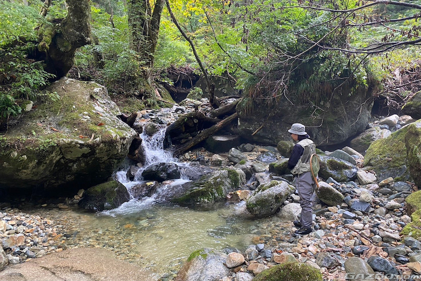 渓流釣りを楽しむ池田雄貴さん