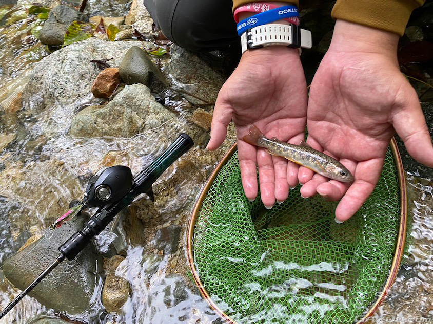 渓流釣りのポイントに行く恩田直人さん