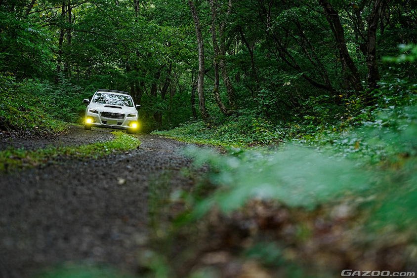 森の中の未舗装路を進むスバル・レヴォーグ