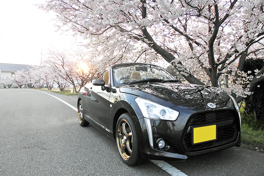 桜の下のダイハツのコペン・ローブ