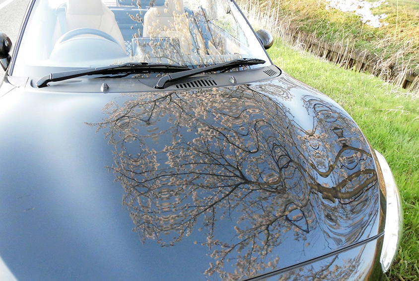 ダイハツのコペン・ローブのボンネットに桜が映る