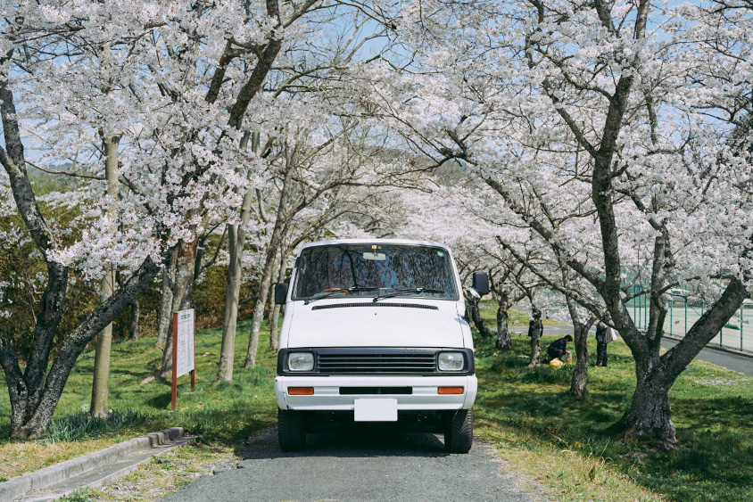 桜の中のトヨタ・デリボーイ