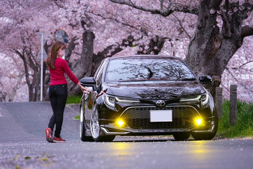 トヨタのカローラスポーツと桜