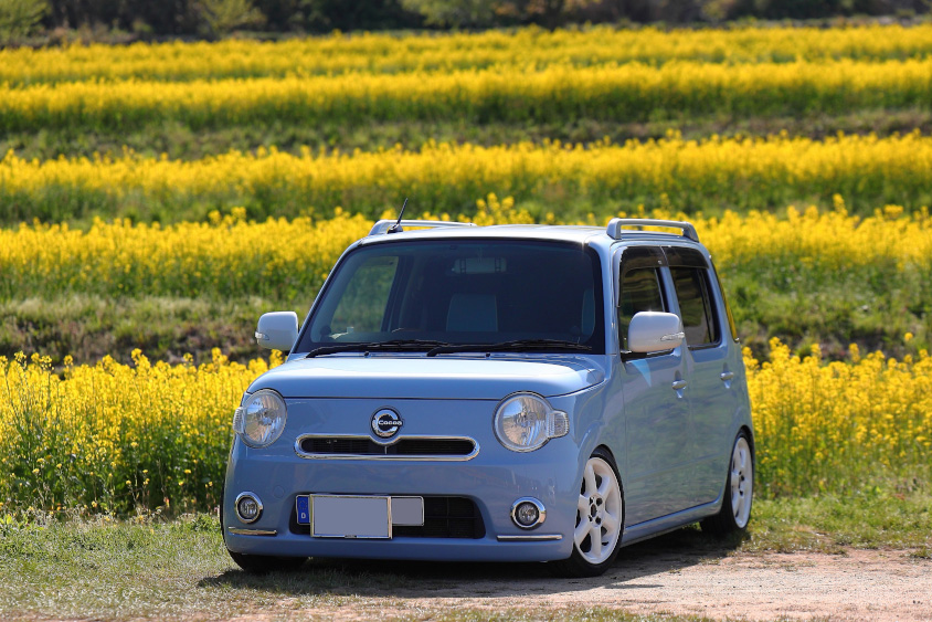 ダイハツ・ミラココアと菜の花畑