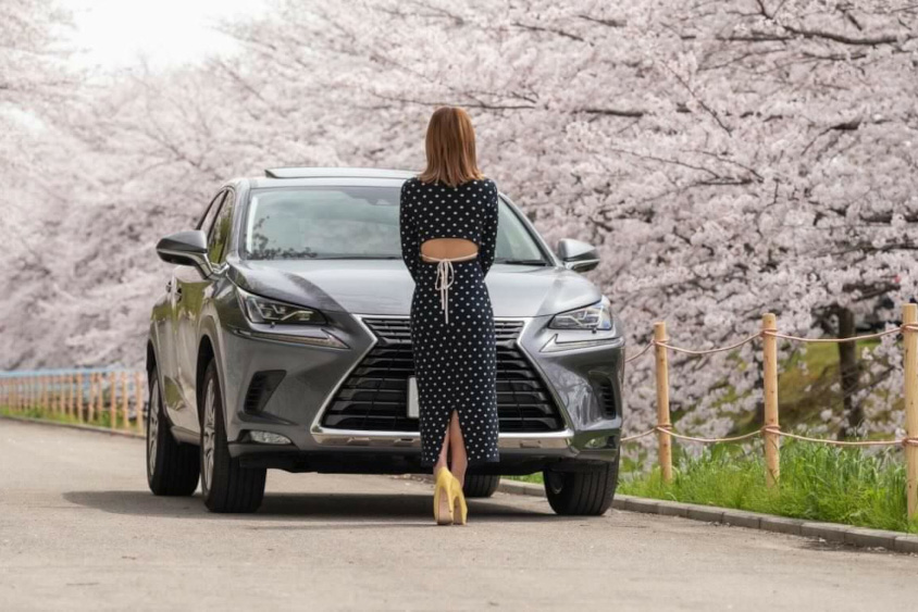 レクサス・NX300hと桜とmonさん