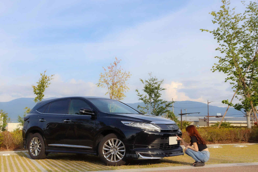 トヨタ・ハリアーとみつめあうbo-roさん