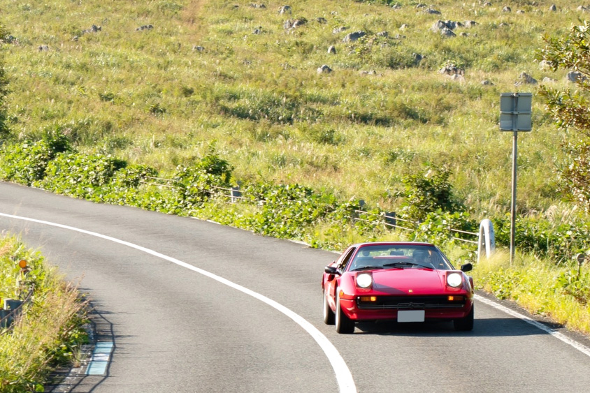 草原を走るFerrari 308 GTSi