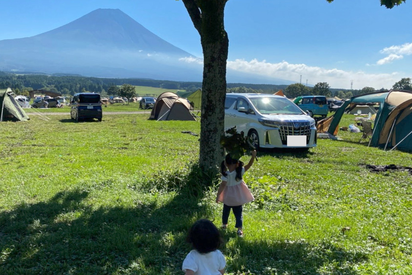 トヨタ・アルファードとキャンプ