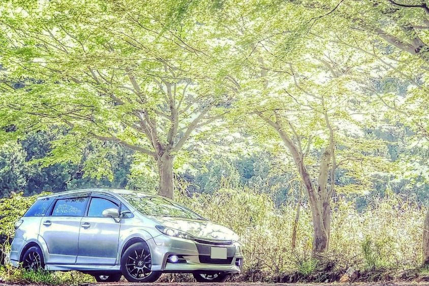 トヨタ・ウィッシュの右サイドビュー