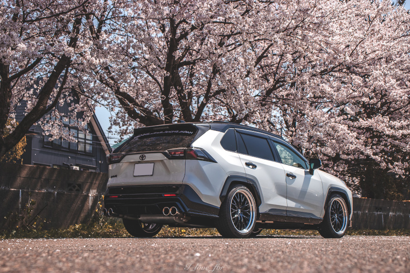 トヨタ・RAV4と桜