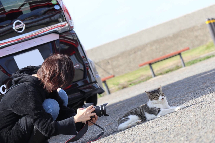 ねこを撮影するあきさん
