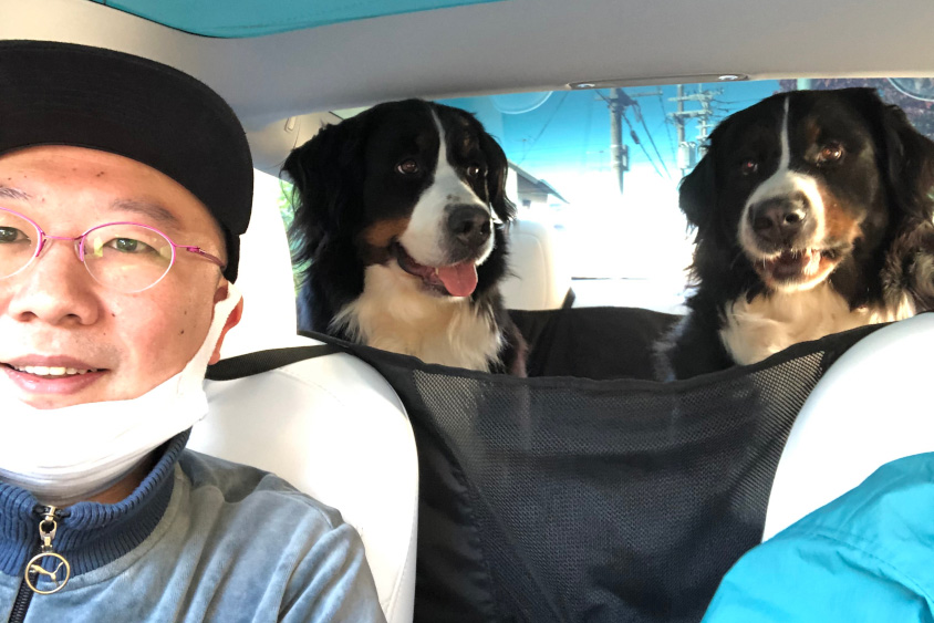 テスラ・モデル3の後席に乗る愛犬