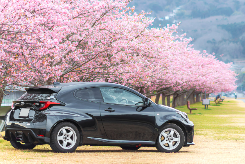 トヨタ・GRヤリスと伊豆の城山桜