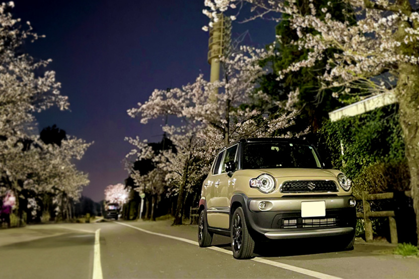 スズキ・クロスビーと桜