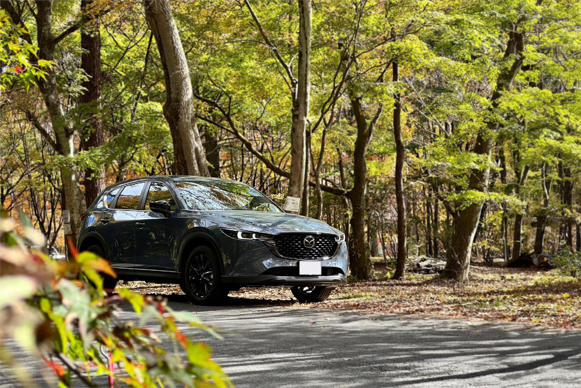 森林を走るマツダ・CX-5